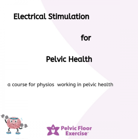 Electrical Stimulation for Pelvic Health course feedback