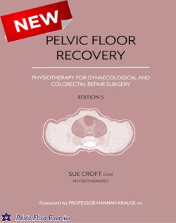 Gynie pelvic sales floor trainer