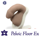 Atlas™ Men’s Pelvic Health Educational Model