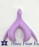 Clitoris Model*