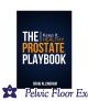 The Prostate Playbook by Craig Allingham*