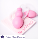 Aniball & Happy Kat Post Partum Recovery Pack Bundle