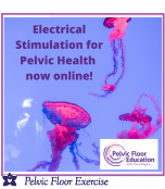 Electrical Stimulation for Pelvic Health: An advanced course for health professionals