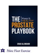 The Prostate Playbook by Craig Allingham*