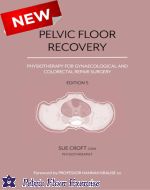 Pelvic Floor Recovery by Sue Croft*