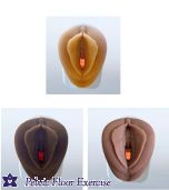 Venus Pelvic Health Model (Light, Medium or Dark)