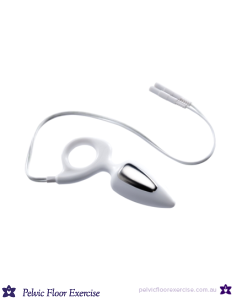 Everyway Anal Electrode PR-09A