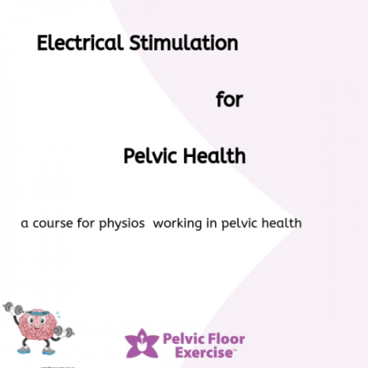 electrical stimulation for pelvic health physios