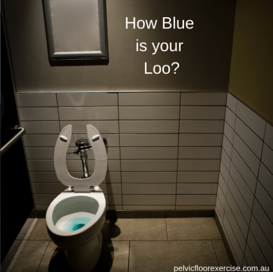 How Blue is Your Loo?