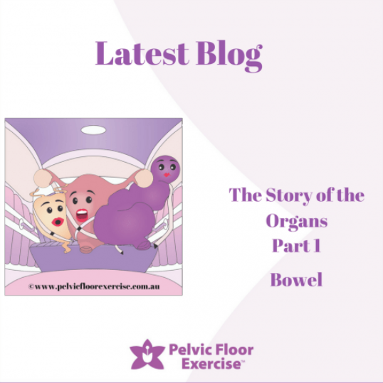 The Story of the Organs Part 1: Bowel Prolapse