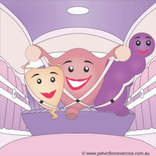 Are your pelvic organs strapped in for the ride?