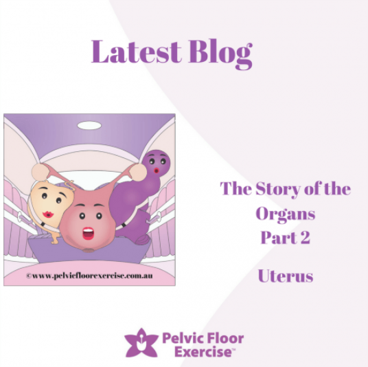 The Story of the Organs Part 2: Uterine Prolapse