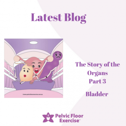 The Story of the Organs Part 3: Bladder Prolapse